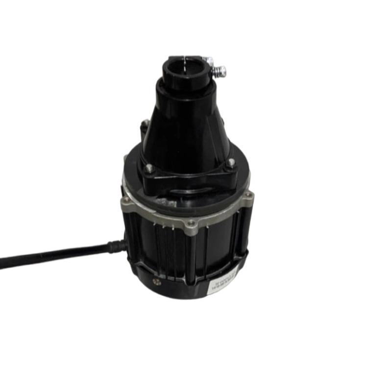 Motore fuoribordo senza spazzo - Fishing Kayak Trolling Motor recensione e prezzo